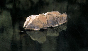 Rock and Water 
Photograph